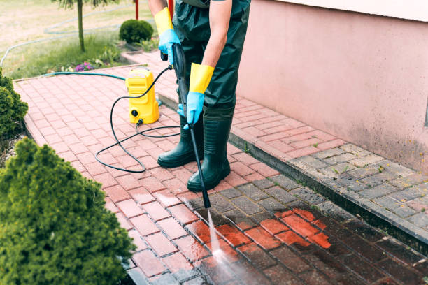 Best Animal Enclosure Cleaning  in Georgetown, KY